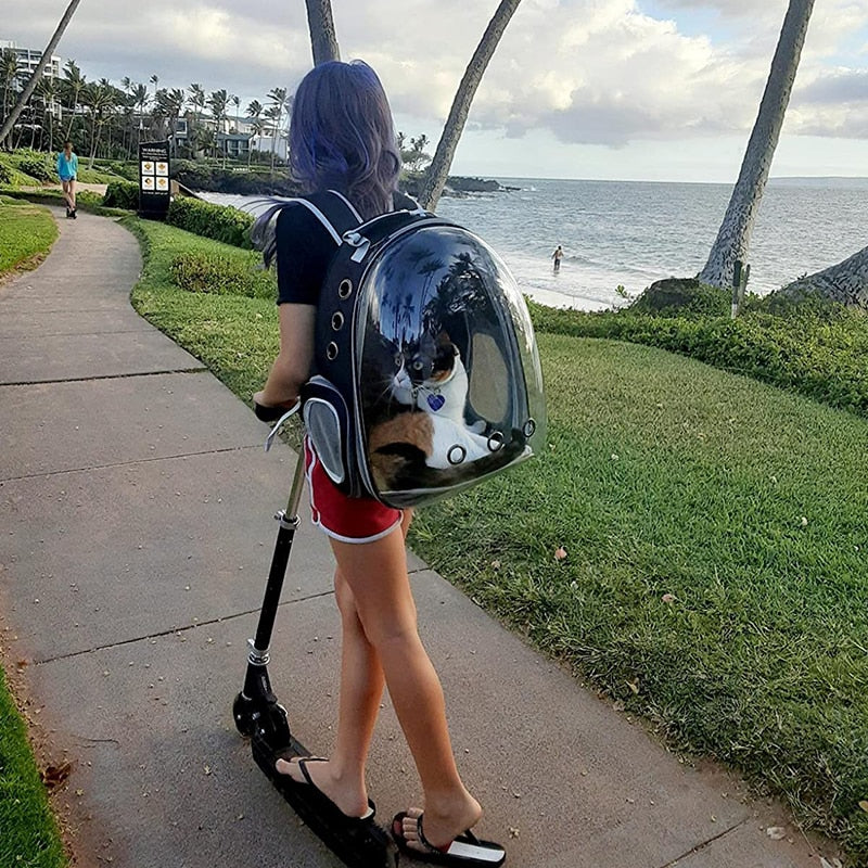 Capsule Pet Travel Backpack